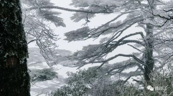 印江：来梵净山西线，听雪落下的声音