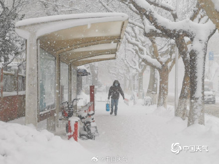 要看雪的抓紧了!今年最后一波冷流雪 要看雪的抓紧了!今年最后一波冷流雪