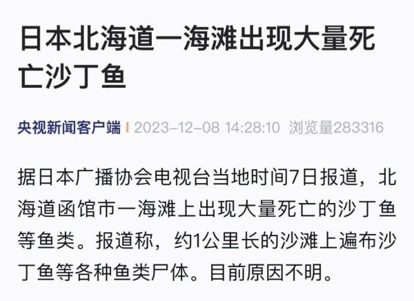 日本海岸突现大量死鱼，渔船寸步难行！官员辩解：与核污染水无关