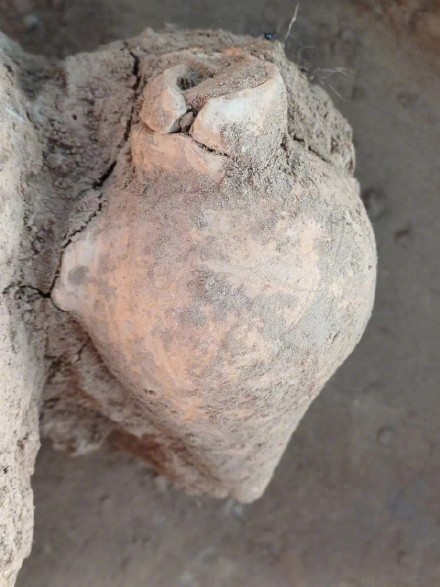 新郑裴李岗遗址发现最早的小口尖底瓶 新郑裴李岗遗址发现最早的小口尖底瓶