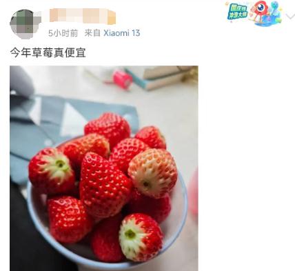 今年价格大降，低至3-5元/斤！很多广东人爱吃，正在大量上市……