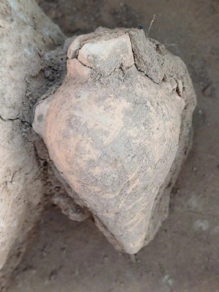 新郑裴李岗遗址发现最早的小口尖底瓶 新郑裴李岗遗址发现最早的小口尖底瓶