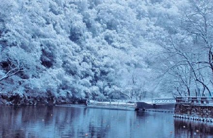 冬日的秦岭,冰雪美景宛如一幅水墨丹青画! 冬日的秦岭,冰雪美景宛如一幅水墨丹青画!