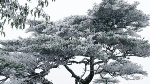 印江：来梵净山西线，听雪落下的声音
