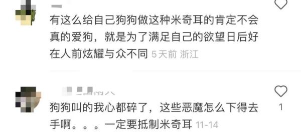 “米奇耳”很可爱？这样的宠物医美手术，慎做！