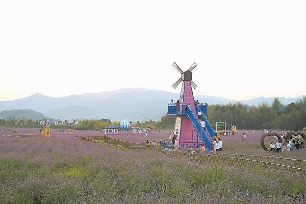 环梅花山旅游寻求突破 环梅花山旅游寻求突破