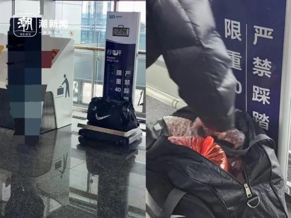 月入十万?“代购”粮食到韩国火了,风险不小! 月入十万?“代购”粮食到韩国火了,风险不小!