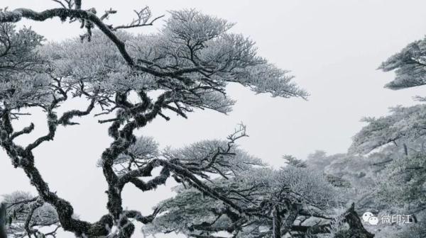 印江：来梵净山西线，听雪落下的声音