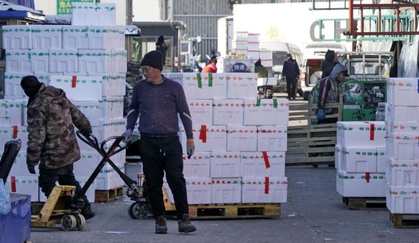 严寒中热闹的肉菜批发市场 严寒中热闹的肉菜批发市场