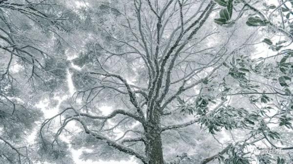 印江：来梵净山西线，听雪落下的声音