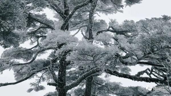 印江：来梵净山西线，听雪落下的声音