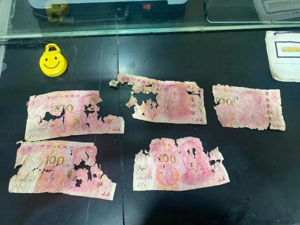 “啥？钱被牦牛吃了？”银行人震惊！