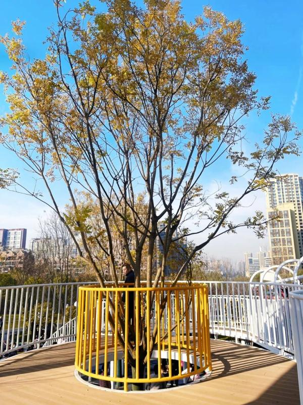 等天气暖和，一起去这儿遛娃吧！免费还好玩