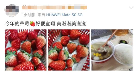 今年价格大降，低至3-5元/斤！很多广东人爱吃，正在大量上市……