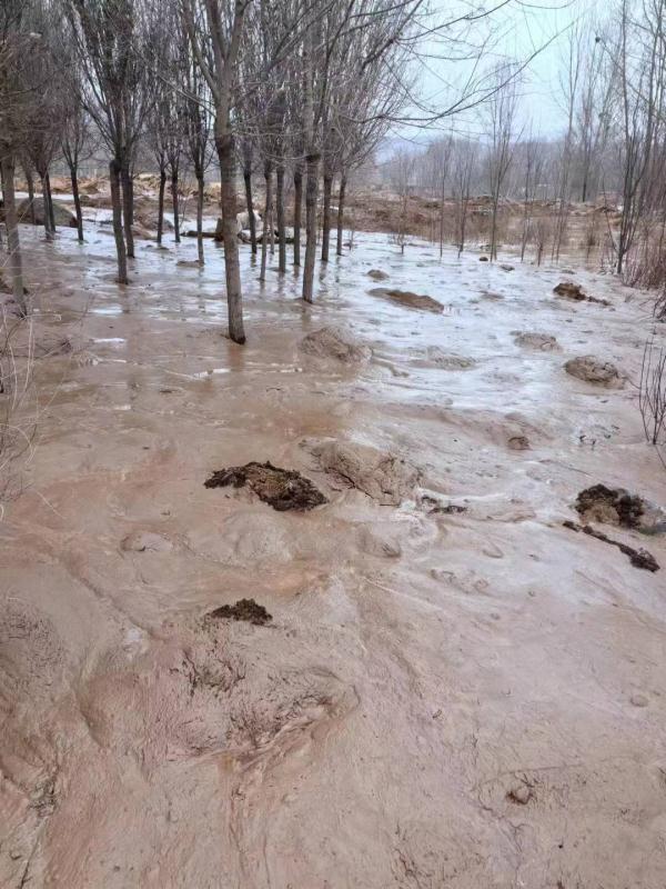 “有这么多人援助我们，我们一定能重建家园”