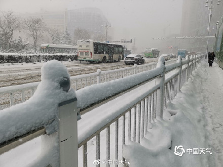 要看雪的抓紧了!今年最后一波冷流雪 要看雪的抓紧了!今年最后一波冷流雪