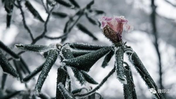印江：来梵净山西线，听雪落下的声音