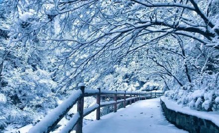 冬日的秦岭,冰雪美景宛如一幅水墨丹青画! 冬日的秦岭,冰雪美景宛如一幅水墨丹青画!