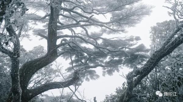 印江：来梵净山西线，听雪落下的声音