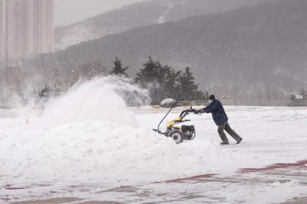 “宛如北极科考”！积雪超半米！大连烟台等地遭遇极端性冷流暴雪！