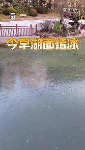 全天气温都在冰点以下！一句话形容今天有多冷，网友：嘴巴一张像在吃薄荷糖……