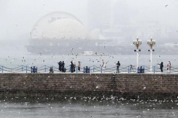 海上奇观,太震撼了!欢迎来到北极圈“青岛分圈” 海上奇观,太震撼了!欢迎来到北极圈“青岛分圈”