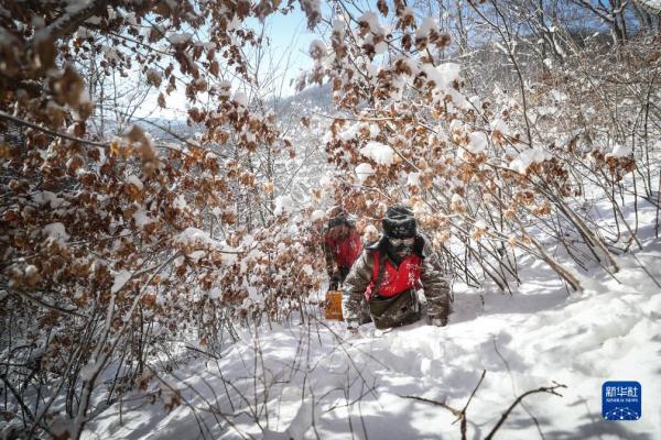 抗严寒特巡保供电