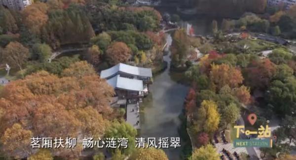 租约到期，大隐书局武康大楼店即将谢幕！爱书人别急，上海首家公园书店等你来探索
