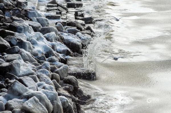 海上奇观,太震撼了!欢迎来到北极圈“青岛分圈” 海上奇观,太震撼了!欢迎来到北极圈“青岛分圈”