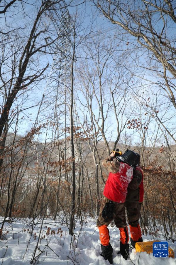 抗严寒特巡保供电