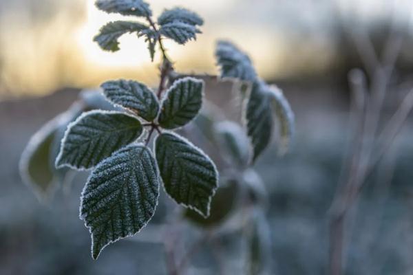 西安今日最低气温跌破-17℃！“最暖年”为什么这么冷？国家气候中心回应......