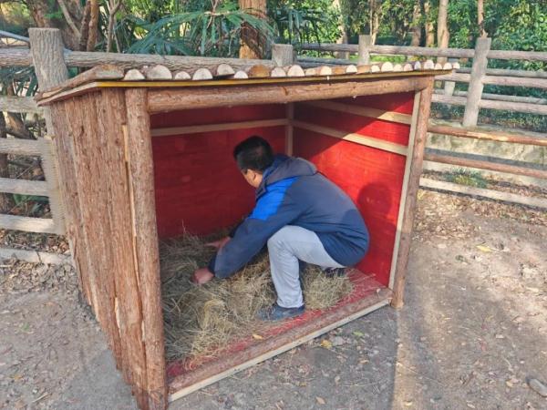 上海动物园“花式供暖”已安排,来看看动物们都是怎么过冬的 上海动物园“花式供暖”已安排,来看看动物们都是怎么过冬的
