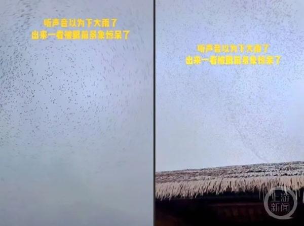 这些地震谣言都别信!已有人被拘 这些地震谣言都别信!已有人被拘