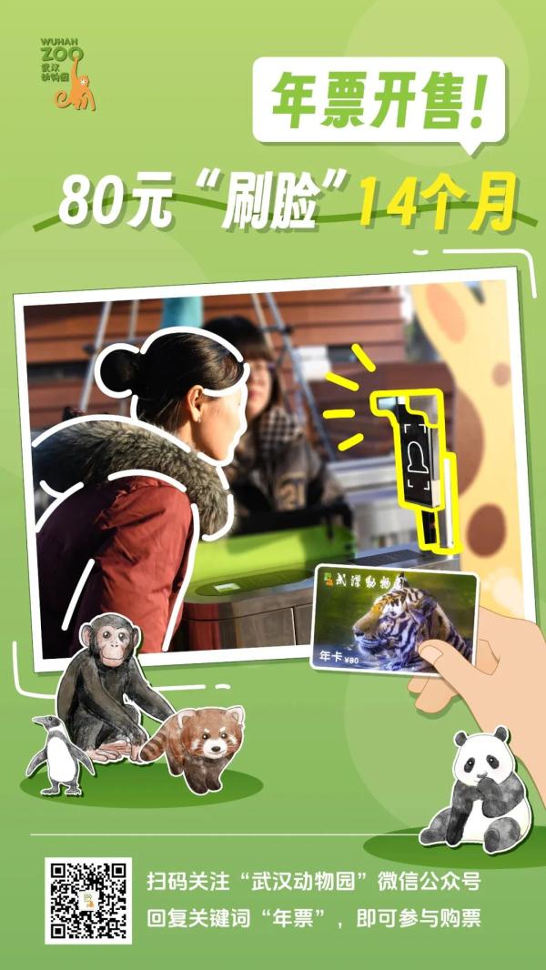 刚刚,武汉动物园官宣!明天开售 刚刚,武汉动物园官宣!明天开售