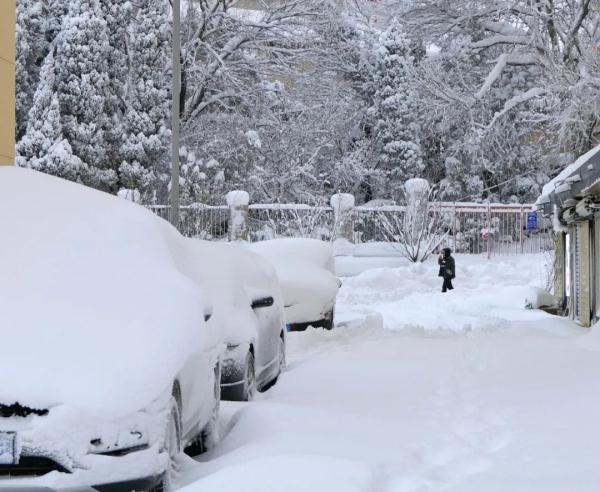 西安今日最低气温跌破-17℃！“最暖年”为什么这么冷？国家气候中心回应......