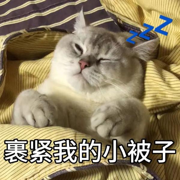 最低气温4℃！深圳寒冷黄色预警将升级为橙色