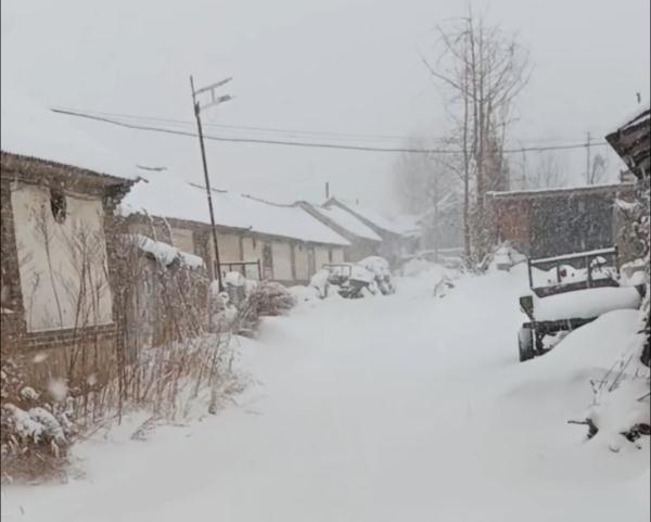 “宛如北极科考”！积雪超半米！大连烟台等地遭遇极端性冷流暴雪！