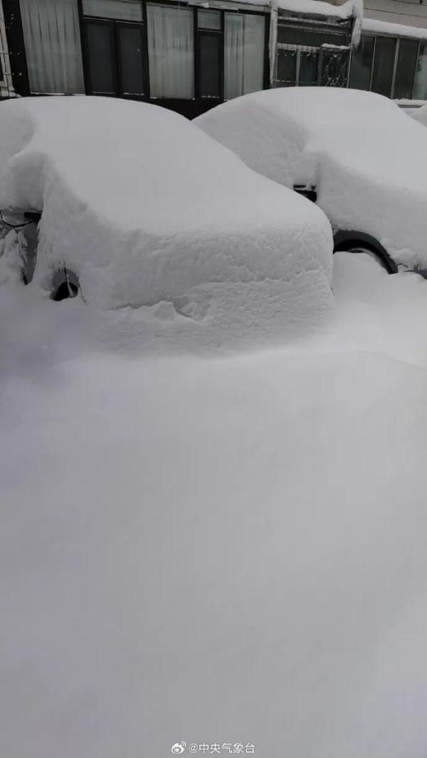 “宛如北极科考”！积雪超半米！大连烟台等地遭遇极端性冷流暴雪！