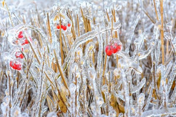 西安今日最低气温跌破-17℃！“最暖年”为什么这么冷？国家气候中心回应......