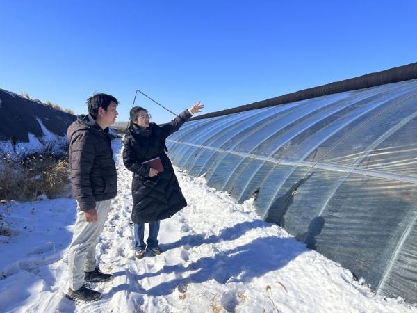 河北三河：农技专家支招如何应对寒潮天气