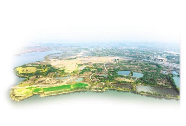 荆州秦家咀楚墓出土3900余枚战国竹简