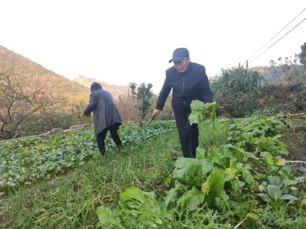 写作不过小半年，拿下多个10万+！台州87岁老人的文字，感动无数人