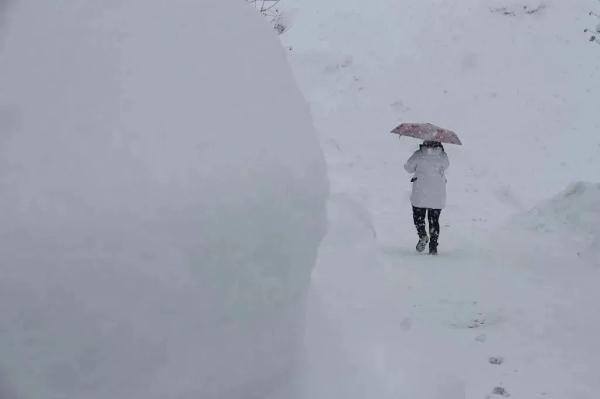 “雪窝”威海暴雪，已持续三天三夜