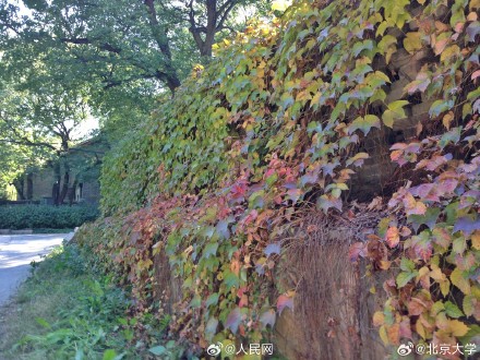 北大燕南园获联合国文化遗产保护奖