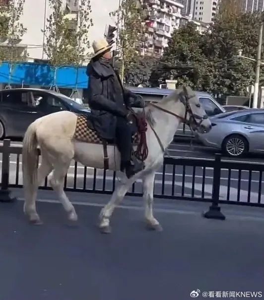 上海市中心有人骑马上街?警方通报:已处罚! 上海市中心有人骑马上街?警方通报:已处罚!