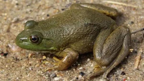 发现这些“厉害角色”，立即报告！