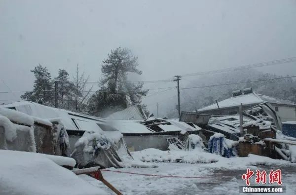 雪大到模糊！积雪最深达74厘米！四问山东半岛暴雪！