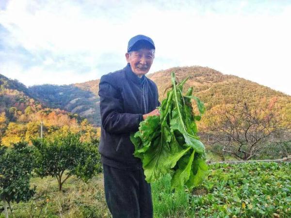 写作不过小半年，拿下多个10万+！台州87岁老人的文字，感动无数人