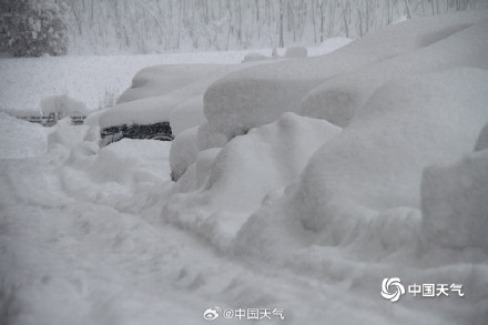 74厘米！山东威海文登积雪深度打破全省纪录