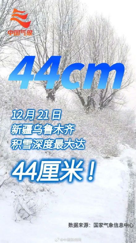 威海积雪厚度是哈尔滨的2倍 威海积雪厚度是哈尔滨的2倍